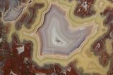 Polished Banded Laguna Agate Half - Mexico #323892-1
